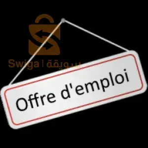 Offer d'emploi