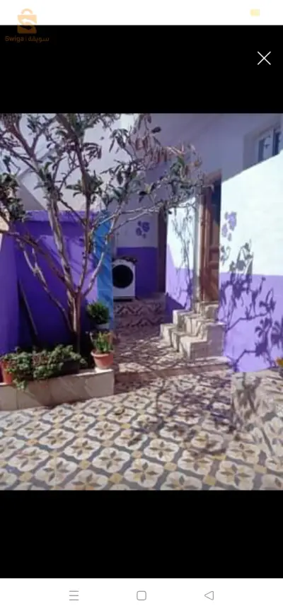 شباط الفوقانية بلونتار