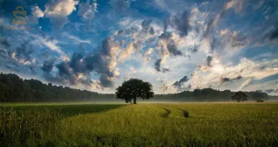 terrain agricole