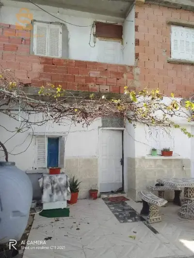 بن دانون