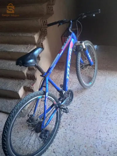 velo