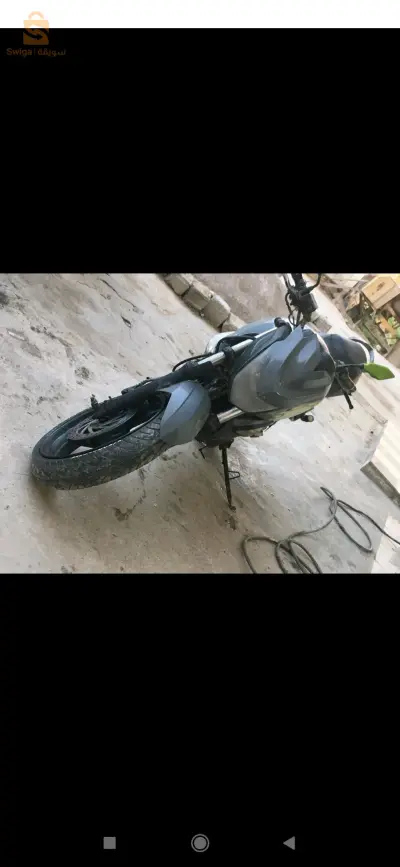 سيم وولف