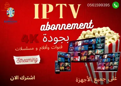 iptv + netflix + bien sport ...