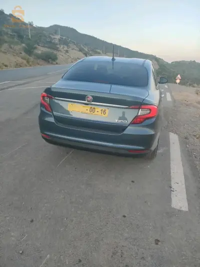 عادي