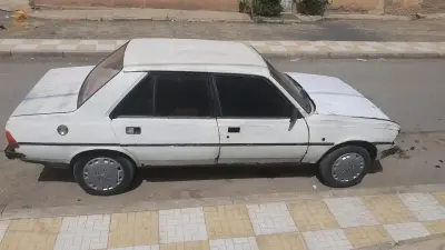 305