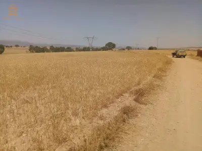 Terres arables