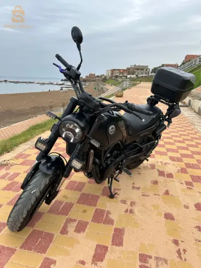 benelli leoncino 500