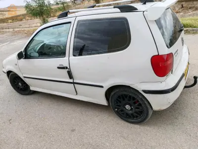 polo3