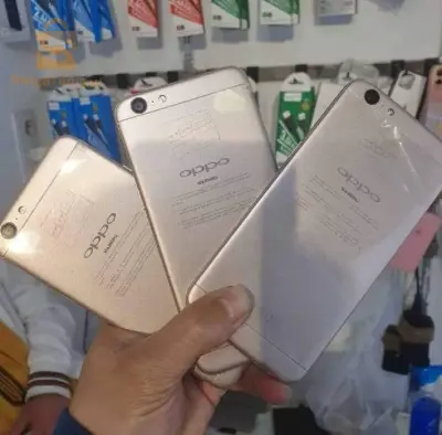 مليون و350الف