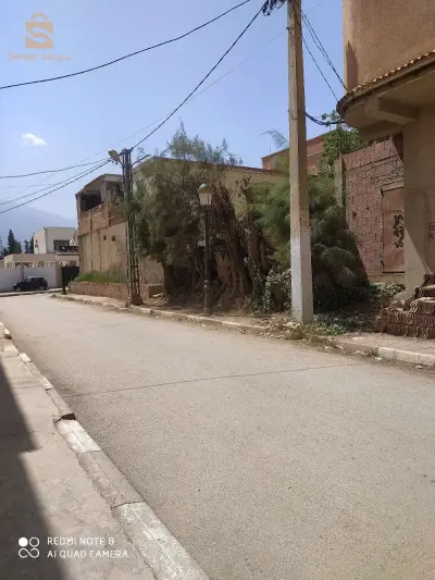 شفة البليدة