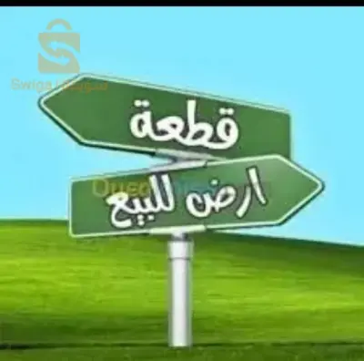 Oued rhio