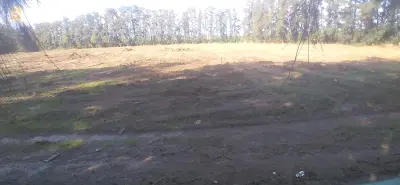 10 hectares a vendre