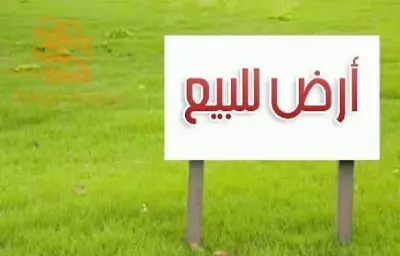 2.5 hectares a baba ali saoula