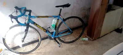 فيلو سبور