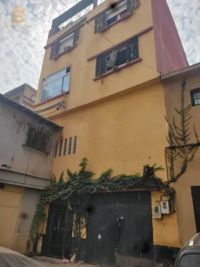maison 🏠 de maître