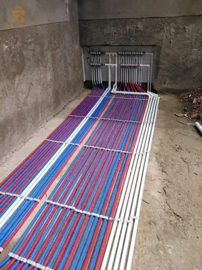 الجزائر
