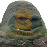 محتاج بابي فوت نضيفة وسومة مليحة