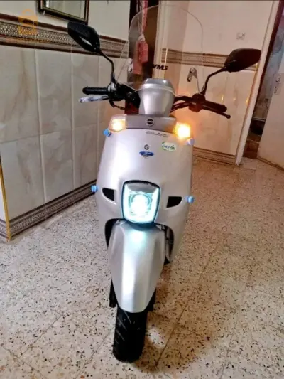 ولاية بسكرة دائرة زريبة الوادي
