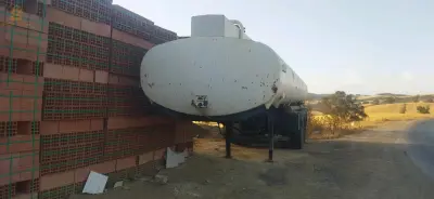 شلف تاجنة