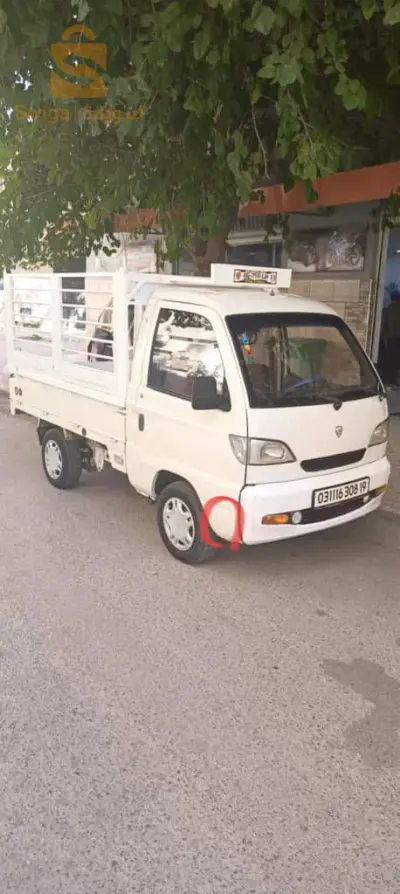 قلال 
سطيف
