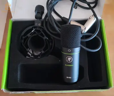 mic