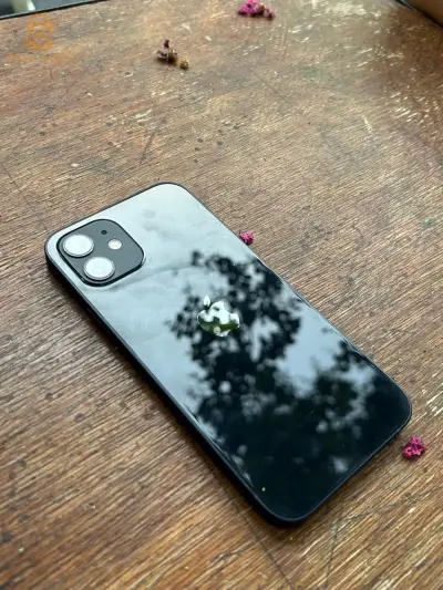 iPhone 12