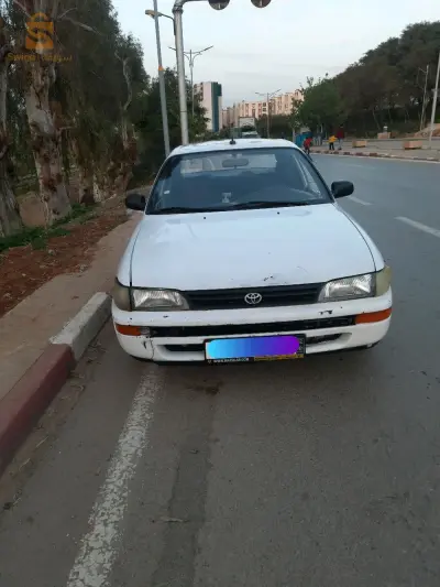 الرويبة