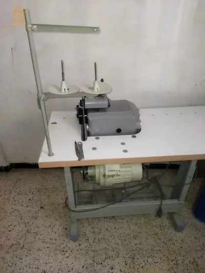 راس الوادى
