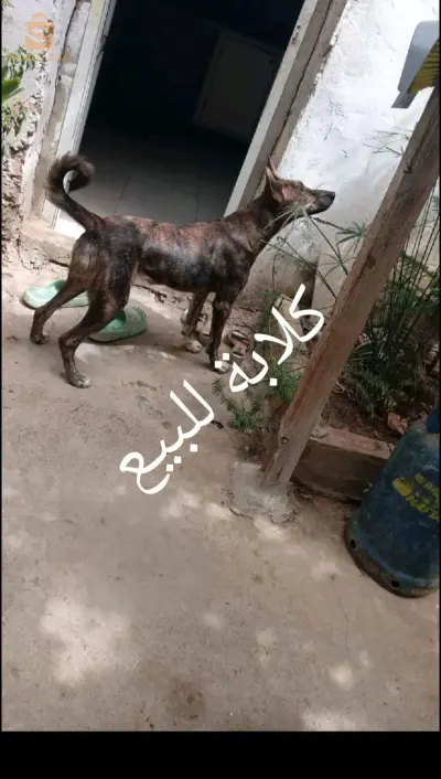 0797231814