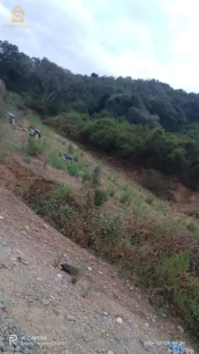 البع