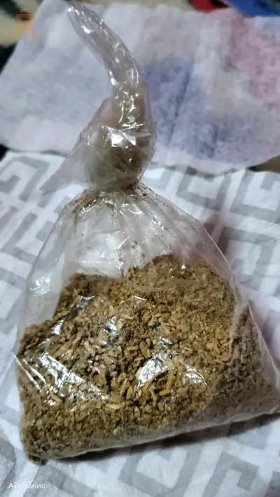 ادرار
