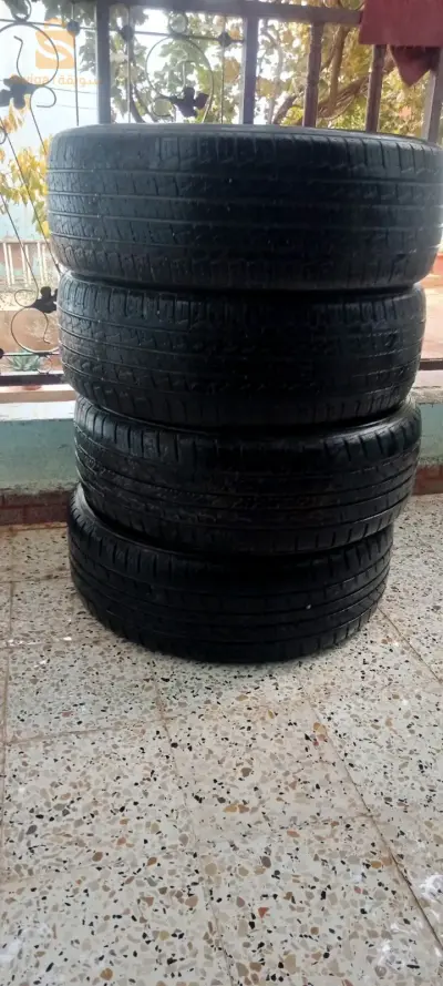 قصرالشلالة تيارت