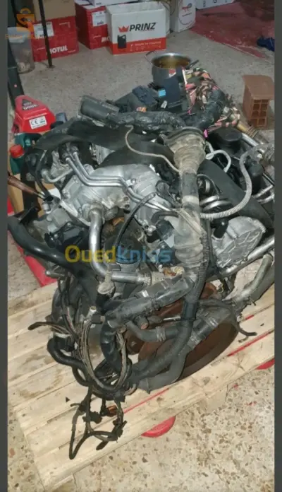 داربيضاء