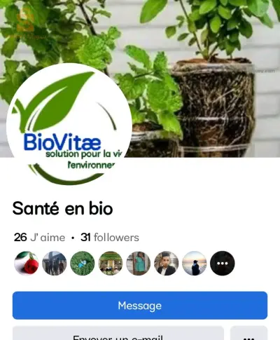 solution de la chlorelle pour renforcer les plantes malades et faibles, meilleure pour leur multiplication et des feuilles vertes.
