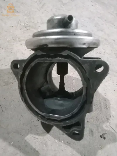 غنابة