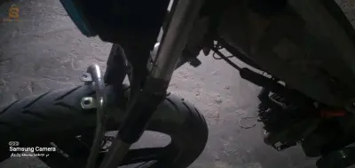 بشار، صبان