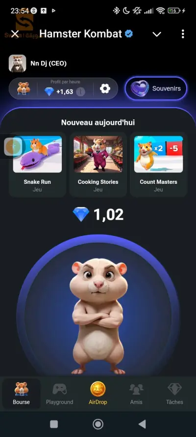 hamster