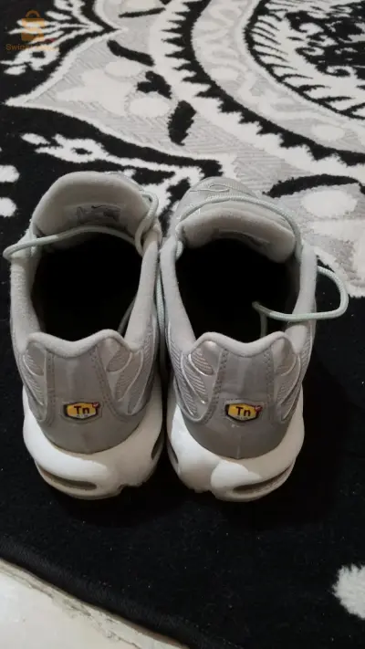 tn original pointure 40.5