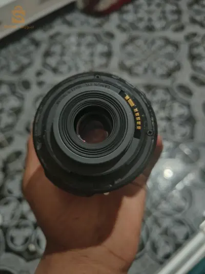 عين موس