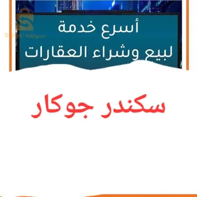 حي 1000قطعة