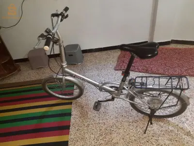 سوقر تيارت 0696702896