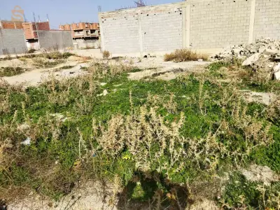 0795534179