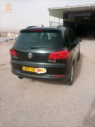 البيض