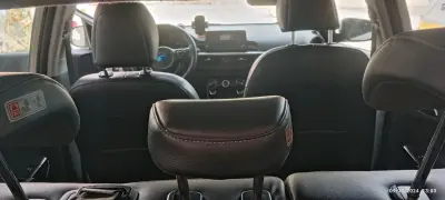 بشار