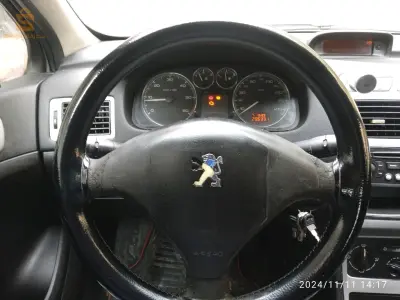 307 1.6