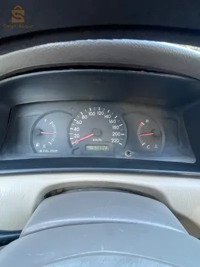 فيها فوال مسبوغ على نقاوة
