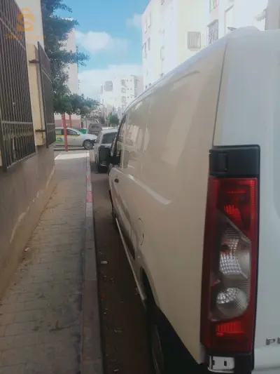 عبن دفلى