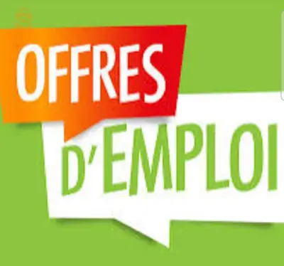 opportunité de travail 📣