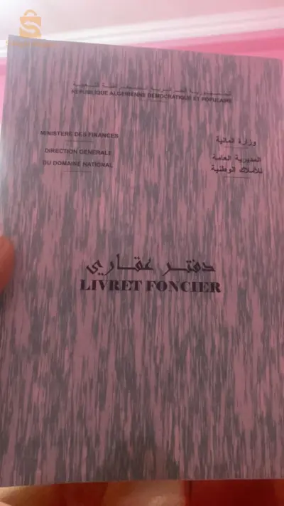 حي طريق جلولة