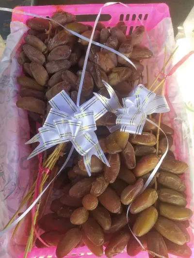 تمر جديدة